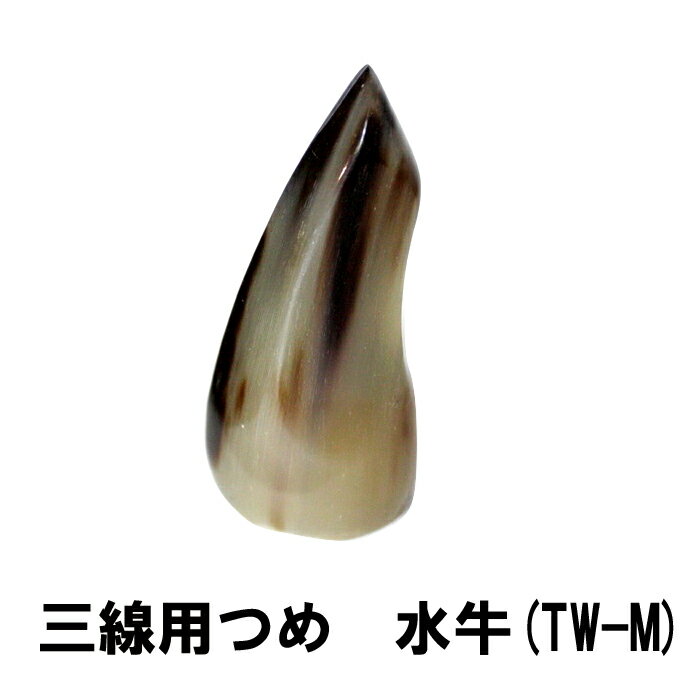 三線用　つめ　水牛　TW-M　高さ63mm x 底辺25mm