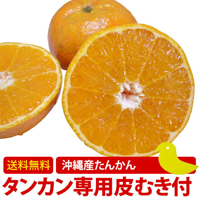 沖縄 たんかん＼タンカン専用皮むき付／沖縄産 タンカン 1kg 3kg 5kg 10kg 秀品(ギフト用) 送料無料 産地直送！沖縄オレンジ(沖縄みかん)予約 おきなわフルーツ(果物)訳あり(わけあり) みかん お試し セール ギフト 贈答用 お取り寄せ グルメ お取り寄せ 屋久島