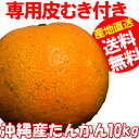 沖縄うまいもの屋!長浜商店提供 食品・ドリンク・酒通販専門店ランキング13位 【送料無料】沖縄産タンカン(たんかん)10kg 専用皮むきのオマケつき 産地直送!沖縄オレンジ(沖縄... 沖縄うまいもの屋!長浜商店提供 食品・ドリンク・酒通販専門店ランキング13位 【送料無料】沖縄産タンカン(たんかん)10kg 専用皮むきのオマケつき 産地直送!沖縄オレンジ(沖縄...
