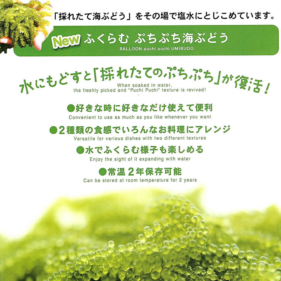 沖縄産 海ぶどう 【ぷちぷち40g or サラダ用30g】 メール便 送料無料 グリーンキャビア 海葡萄 クビレヅタ 海水入り 沖縄土産【送料無料市場】 海藻 沖縄旅行 sea grepes　選べる！沖縄産 海ぶどう サラダ・生食用に！ 【ぷちぷち40g or サラダ用30g】 海藻3袋以上の購入で1袋サービス メール便 送料無料クビレヅタ 海ブドウ タレ付沖縄土産 送料無料市場 ギフト うみぶどう