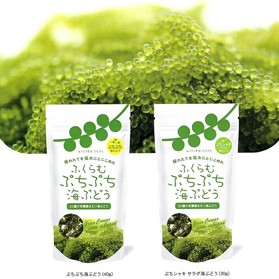 沖縄産 海ぶどう 【ぷちぷち40g or サラダ用30g】 メール便 送料無料 グリーンキャビア 海葡萄 クビレヅタ 海水入り 沖縄土産【送料無料市場】 海藻 沖縄旅行 sea grepes　選べる！沖縄産 海ぶどう サラダ・生食用に！ 【ぷちぷち40g or サラダ用30g】 海藻3袋以上の購入で1袋サービス メール便 送料無料クビレヅタ 海ブドウ タレ付沖縄土産 送料無料市場 ギフト うみぶどう