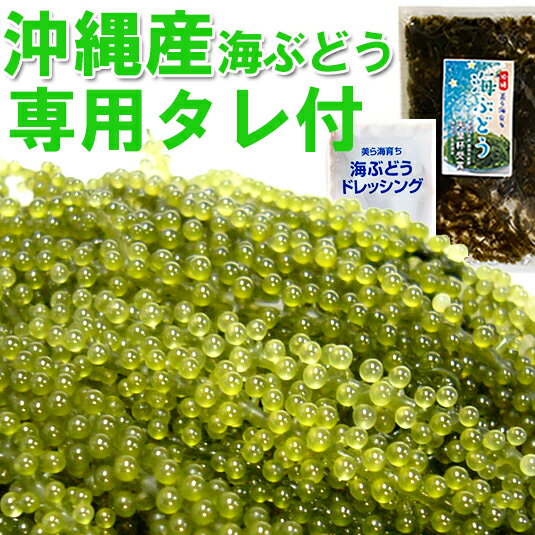 【青空レストランで紹介】＼沖縄産 海ぶどう／100g★天皇杯受賞【海ぶどう 専用タレ付】海藻3袋以上の購入で1袋サービスメール便 送料無料クビレヅタ：海水入り 海ブドウ タレ付グリーンキャビア 沖縄土産 送料無料市場 おつまみ プチ ギフト うみぶどう