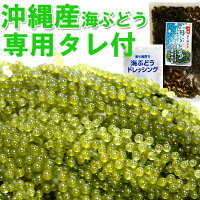 【青空レストランで紹介】沖縄産 海ぶどう 天皇杯受賞【専用タレ付】100g 海藻3袋...