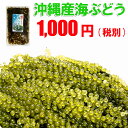 沖縄産海ぶどう100g★天皇杯受賞 メール便送料無料