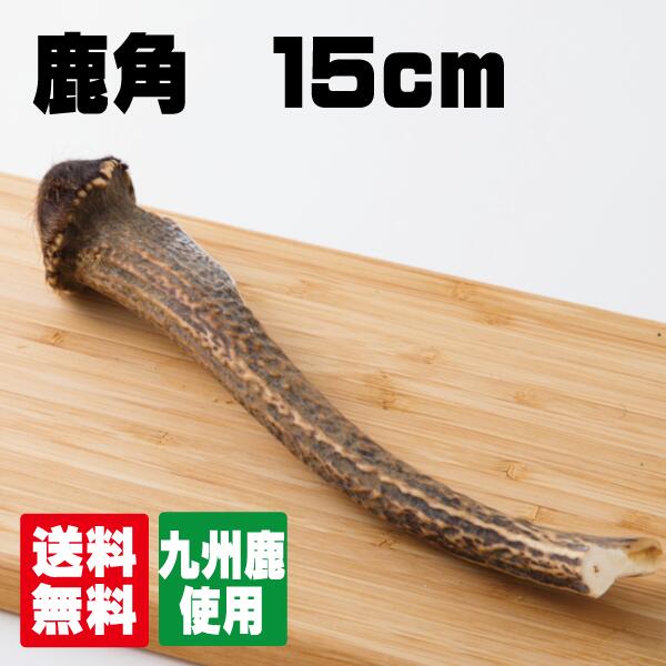 鹿の角　15cm　(鹿　角　デンタルケア　歯磨き　人気　犬のおやつ　国産　無添加　歯石　ベニソン　希少　じびえ　ジビエ　ペットフード　鹿肉　しか　つの　おもちゃ　長持ち　ガジガジ　)