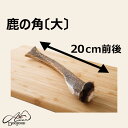 鹿の角 20cm(鹿 角 デンタルケア 歯磨き 人気 犬のおやつ 国産 無添加 歯石 ベニソン 希少 じびえ ジビエ ペットフード 鹿肉 しか つの おもちゃ ...