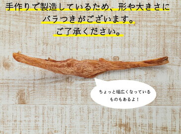 \SALE中10%OFF/【送料無料】馬アキレス 70g(馬 アキレス ロング 人気 犬のおやつ モンゴル 無添加 小型犬 中型犬 大型犬 固め 歯磨き デンタルケア ペットフード うま ホース 馬のアキレス)