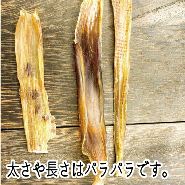 \SALE中10%OFF/馬アキレス ショート40g(馬 ホース うま アキレス 人気 犬のおやつ モンゴル 無添加 小型犬 中型犬 大型犬 固め 歯磨き デンタルケア 低脂肪 ストレス発散 歯石予防)