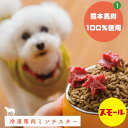 【関連キーワード】馬肉　鹿肉　ドッグフード　ペットフード　アレルギー　お試し　犬　食事　フード　無添加　おすすめ　小麦不使用　通販　安全　国産　熊本　九州　福岡　ランキング　鶏肉不使用 送料無料　送料込み　おためし　ドッグフードお試し　ドッグフードおためし　国産無添加　無添加ドッグフード　国産ドッグフード　シニア　涙やけ　ドッグフード国産　エーワン　試供品　パピー　トイプードル　チワワ　ダックス　パピヨン　ポメラニアン　ボーダーコリー　中型犬　小型犬　大型犬　ホース　ベニソン　全犬種　オールステージ　プレミアムドッグフード　プレミアム　dogfood　仔犬　子犬　国産無添加ドッグフード　トリーツ　スポーツドッグ　鹿　総合栄養食　ドッグ　ご飯　フードジプシー　シニアドッグ　スポーツドッグ　ディスクドッグ　フリスビードッグ　アジリティー　アジリティ　ドックフード　エサ　餌　ランキング　口コミ　アレルギー　通販　子犬　仔犬　ランキング　食事　安全　鹿フード　鹿肉フード　鹿肉ドックフード　馬肉フード　馬肉ドックフード　馬ミンチ　冷凍ミンチ　馬肉ミンチ　ホース　冷凍馬肉　ミンチスタースモール【冷凍熊本馬肉ミンチ】300g　熊本　(可愛い　星型　スター　馬肉　ホース　ミンチ　冷凍　国産　ペットフード　ドッグフード　小分け　グレインフリー　グルテンフリー　トッピング　高級　最高品質　フジチク　ふじちく　馬　熊本産　熊本　国内肥育) 美味しく楽しく健康に！新鮮安全馬肉ミンチ！ご飯のトッピングに！与えやすい小分けタイプ♪ 8