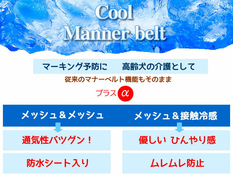 マナーベルト XL おすすめ ずれない クール メッシュ トレーニング用 高齢犬 中型犬 夏 夏用 コーギー ビーグル フレブル アメコカ 専門 涼しい 蒸れない 快適 マナーバンド マナーパッド マナーウェア オス メス 男の子 パンツ おむつ 3