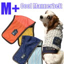 サイズ：M＋ 犬 接触冷感 マナーベルト クール メッシュ トレーニング用 高齢犬 夏用 トイプー シュナウザー キャバリア ジャックラッセル ミニピン 専門 涼しい ずれない 蒸れない 快適 マナーバンド マナーパッド マナーウェア オス メス 男の子 パンツ おむつ