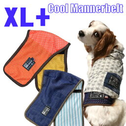 マナーベルト XL ＋おすすめ ずれない クール メッシュ トレーニング用 高齢犬 中型犬 夏 夏用 コーギー ビーグル フレブル アメコカ 専門 涼しい 蒸れない 快適 マナーバンド マナーパッド マナーウェア オス メス 男の子 パンツ おむつ