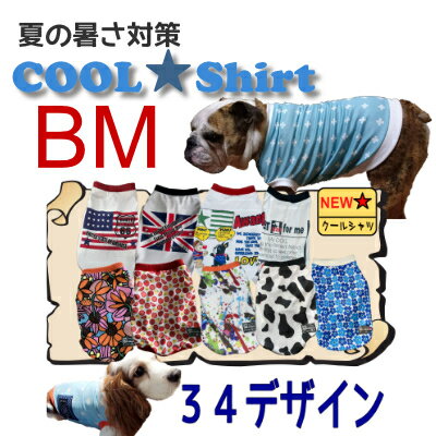 クールシャツ　ノースリーブ　サイズBM　大型犬　夏用　冷感　ハンドメイド　アメリカンデザイン　オシャレ犬服　メッシュ　お揃い　国産　濡らして着せる　ひんやり　ブルドッグ　胴短　首太　UVカット　英語　星柄　熱中症対策　防蚊　送料無料