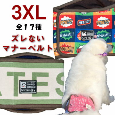 犬 小型犬 犬用 中型犬用 マナーウェア トイレ用品 マナーバンド ドッグウエア マーキング防止 シニア 介護用品 散歩グッズ 交換OK/返品不可 メール便可RADICA+Y マナーベルト