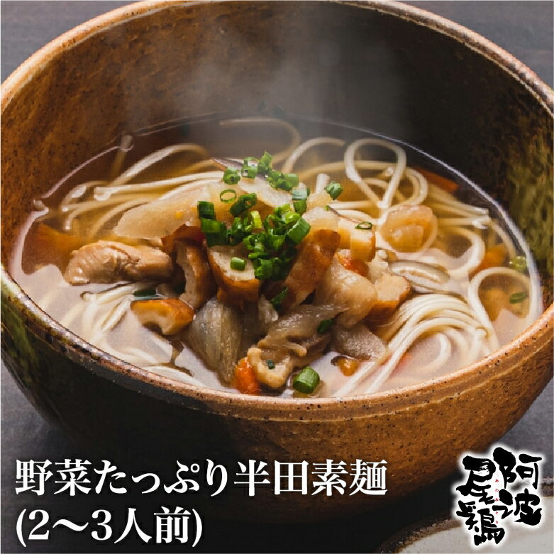 お肉（1000円程度） そうめん 半田素麺 手延 野菜たっぷり半田素麺（2、3人前) お取り寄せ 徳島 阿波尾鶏 半田素麵 居酒屋 晩御飯 簡単調理 郷土料理 あったか 名産 お中元 お歳暮 ギフト 対応 年末 お正月