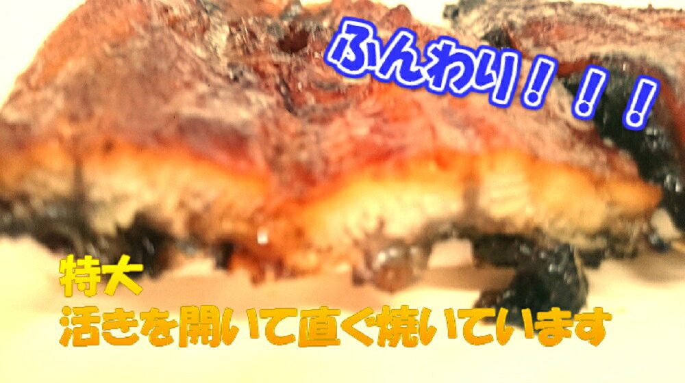 うなぎ　うなぎ令和8年度の「新子国産活きうなぎの蒲焼特大3匹入り8500円「ギフト」♪手開き♪手焼き awashun-10000061 【淡路島の旬】魚一鮮魚店 サンプル画像3