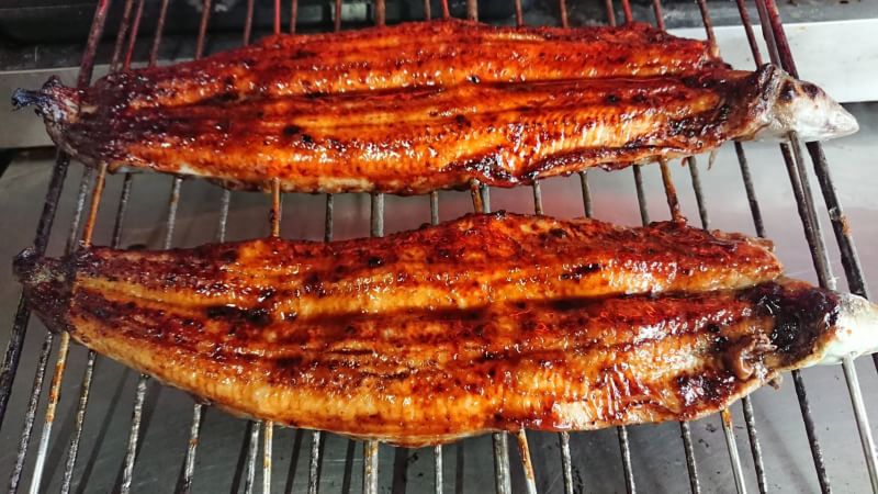 樂天商城 - うなぎ　新子の国産活きうなぎの蒲焼特大2匹入り￥5800　自家製のタレ♪手開き♪手焼き
