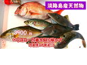 鮮魚☆カンタン☆何が入っているか