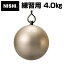 [最大2000円OFFクーポン発行中]【ニシスポーツ　NISHI】陸上競技 ハンマー (練習用) 4.0kg 女子用 ハンマー投げ 4キロ NT5607 [200406]