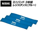 【メール便可230円】★筋肉に負荷をかけるレジスタンストレーニングに★【ニシスポーツ　NISHI】【トレーニング用品】ミニバンド 3本組　レジスタンス(ブルー)　NT7930G　[200409]