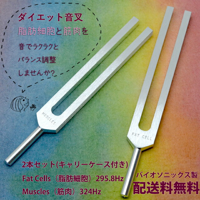 【本数限定30%OFF】ハイグレード ダイエットチューナー（脂肪細胞と筋肉のバランス・セルライト）