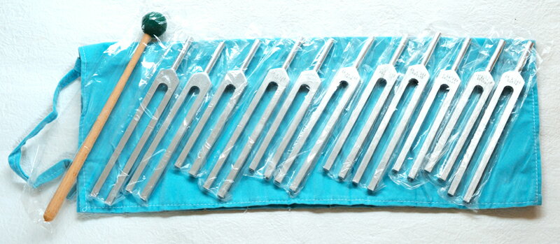 【本数限定30%OFF】ハイグレード プラネタリー チューナー セット