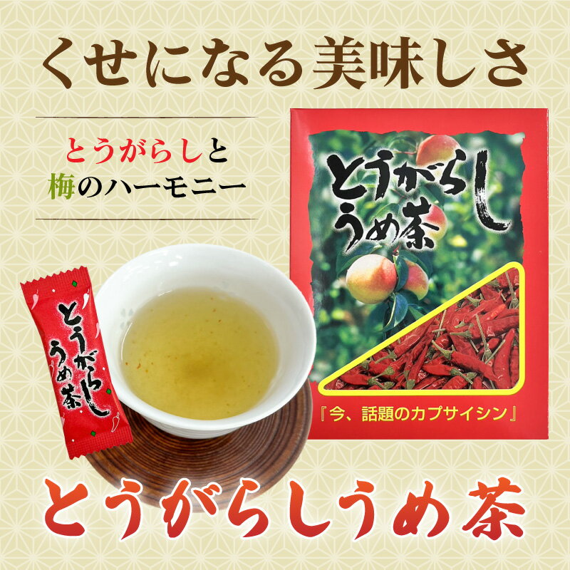 とうがらしうめ茶 48g(2g×24袋入) 今...の紹介画像2