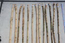 布袋竹 【布袋竹N27】 杖に最適 釣り竿のグリップに最適