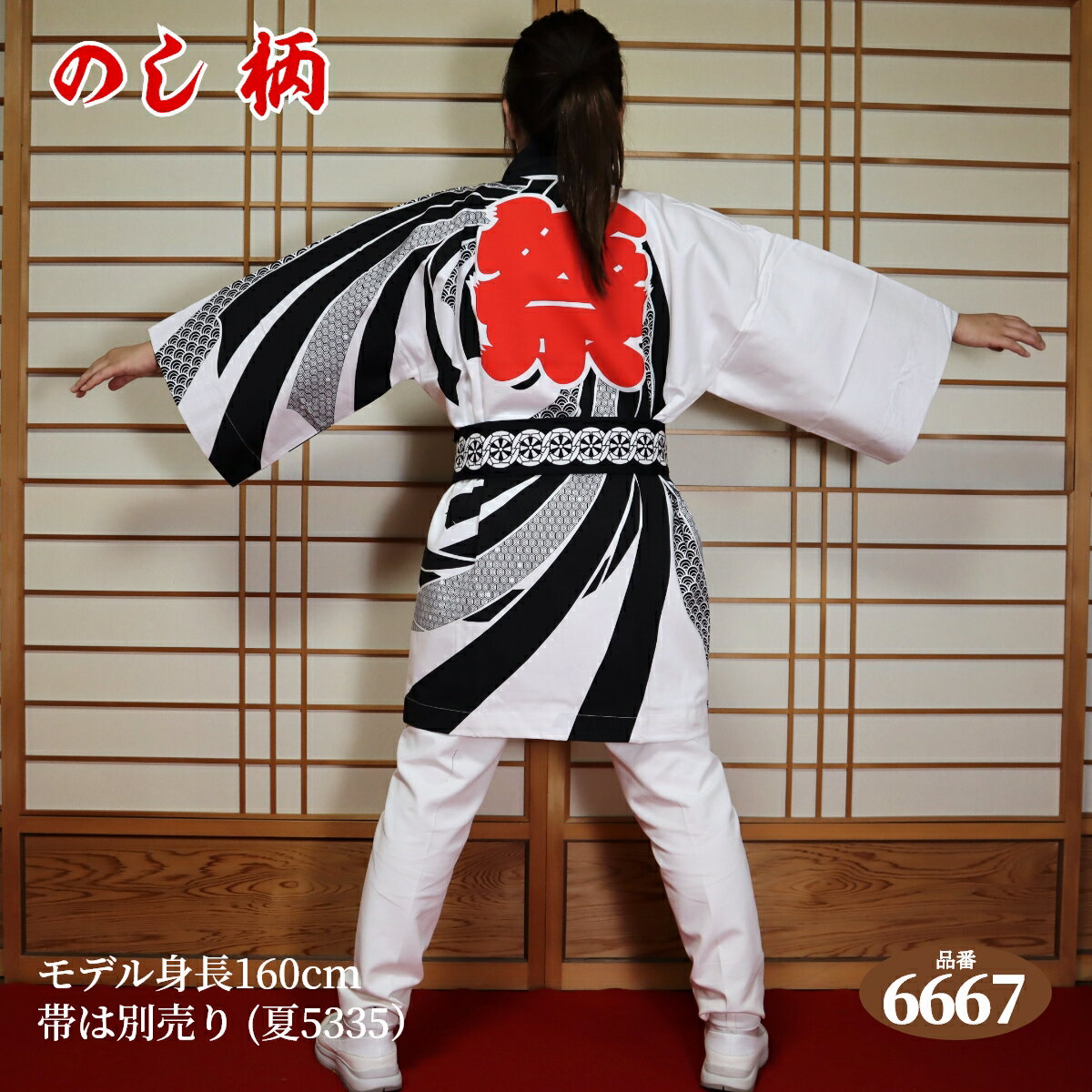 はっぴ 法被 フリーサイズ 岳:6667(のし...の紹介画像3