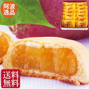 お供え お菓子 母の日 ギフト お誕生日 プレゼント 送料無料 和菓子 四十九日 粗供養 香典返し お供え物 四十九日 名誉総裁賞 受賞 阿波十三里 阿波の逸品...