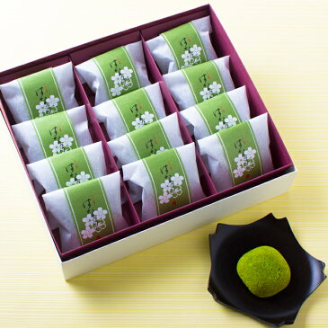 お誕生日プレゼント ギフト お供え お菓子 お供え物 和菓子 引き出物 送料無料 粗品 宇治抹茶 はな乃 抹茶スイーツ 宇治抹茶を使ったしっとりとした 蒸し菓子 内祝い お返し お誕生日 香典返し ご挨拶 老舗 御祝 粗供養【あす楽対応】【仏事 法要 法事】