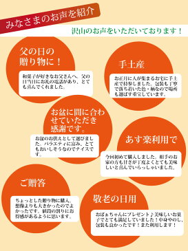 お歳暮 お年賀 お供え お菓子 お供え物 プレゼント ギフト 送料無料 お礼 お菓子 個包装 和菓子 スイーツ【あす楽】仏事 法要 法事 詰め合わせ 一周忌 老舗 香典返し 内祝い お返し 出産内祝い お誕生日プレゼント ご挨拶 引き出物 母 父 お誕生日 還暦祝い 古希 喜寿 米寿