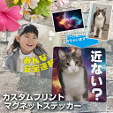 【こだわり印刷】 マグネットステッカー baby in car ベビーインカー 安全運転 ステッカー ペット 愛犬 愛ネコ 子ども 赤ちゃん 車ステッカー 犬ス...