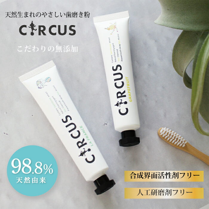 歯磨き粉 天然由来 CIRCUS オーガニック ペースト ミント アップル 緑茶 50g キルクス 歯みがき ハミガ..