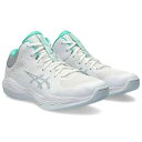 \楽天スーパーSALE期間中、エントリーでポイント10倍!/ASICS(アシックス) バスケットシューズ NOVA FLOW 2 1063A071(EC)