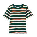 Champion(チャンピオン) ウィメンズ ボーダーショートスリーブTシャツ CW-B308
