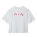 Champion(チャンピオン) ウィメンズ ラグランショートスリーブTシャツ CW-B314