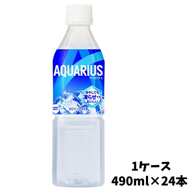 y[J[z ANGAX 490ml ⓀPET 1P[Xi24{j