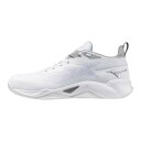 Mizuno(ミズノ) バスケットボールシューズ ウエーブトランジスタ W1GA2400
