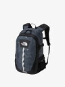 THE NORTH FACE(ザ・ノース・フェイス) ホットショット NM72302 Col.KT TNFブラックトポプリント サイズ 27L H50×W30.5×D20cm