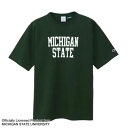 Champion(チャンピオン) ティーテンイレブン ショートスリーブTシャツ C5-B309 MADE IN USA サイズはアメリカ企画サイズではなく、日本...