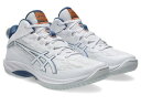 asics(アシックス) GELHOOP V17 STANDARD 1063A096