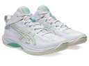 asics(アシックス) GELHOOP V17 STANDARD 1063A096