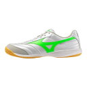 Mizuno(ミズノ) モレリア SALA PRO IN(フットサル) Q1GA2513