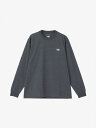 THE NORTH FACE(ザ・ノース・フェイス) ロングスリーブフラッシュドライヌプシコットンティー(メンズ)NT32535