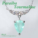 【限定1本】【ソーティング付き】【1.152ct】Pt900 パライバトルマリンネックレス ダイヤモンド プラチナ ネックレス ジュエリー トルマリン ペンダント パライバ ネックレス 【送料無料】【品質保証書】ギフト プレゼント ひと粒 一粒石