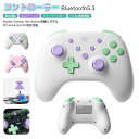コントローラー Bluetooth 5.3 ワイヤレス 連射機能 6軸ジャイロセンサー 3Dスティック Switch 2 用 PC Type-C 接続 簡単 子供
