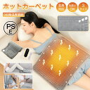 【PSE認証済 】電気カーペット ホットカーペット 温度調節 電気毛布 電熱 毛布 カーペット ヒーティングパッド 加熱パッド ブランケット 洗える 電気敷パッド 暖房 器具 温熱パッド 家庭用 オフィス タイマー機能 ミニマット 冬用 ヒーター