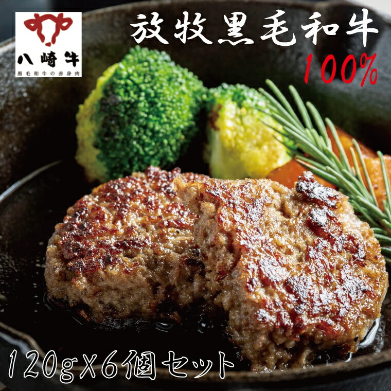 【販売元より直送】放牧黒毛和牛 100% ハンバーグ 簡易包装 120g×6個 おうちごはん 家族 熟成 添加物不使用 国産 肉汁 旨み 冷凍便 美味しい 八崎牛 宮崎 贈答品 ギフト 内祝い 結婚祝い 出産祝い 誕生日 母の日 父の日 敬老の日 楽天スーパーセール お得 お値打ち 肉