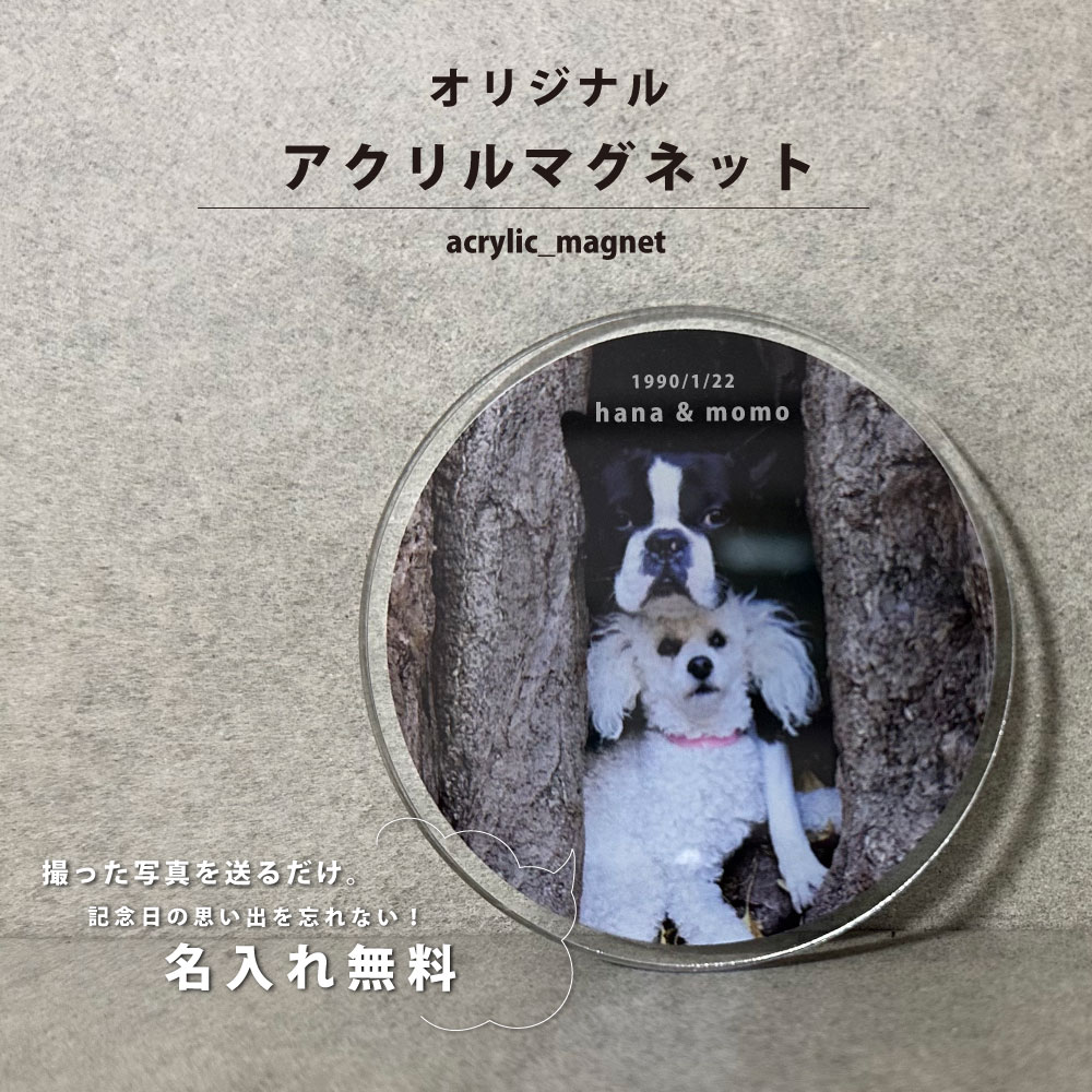 【撮って・送って・かんたん作製】オーダーメイド アクリルマグネット マグネット かわいい 犬 猫 ペット ハムスター かわいい cute 子供 じーじ ばーば ...